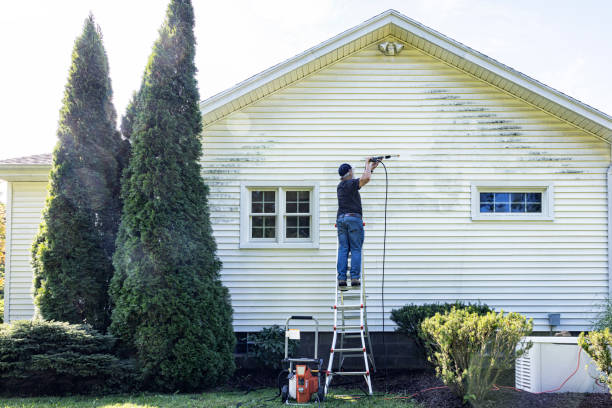 Best Sidewalk Pressure Washing  in Nogales, AZ