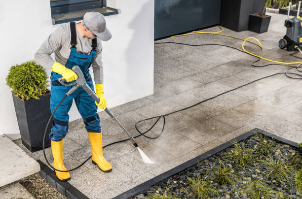Best Roof Power Washing Services  in Nogales, AZ